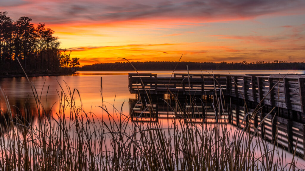 Harris Lake