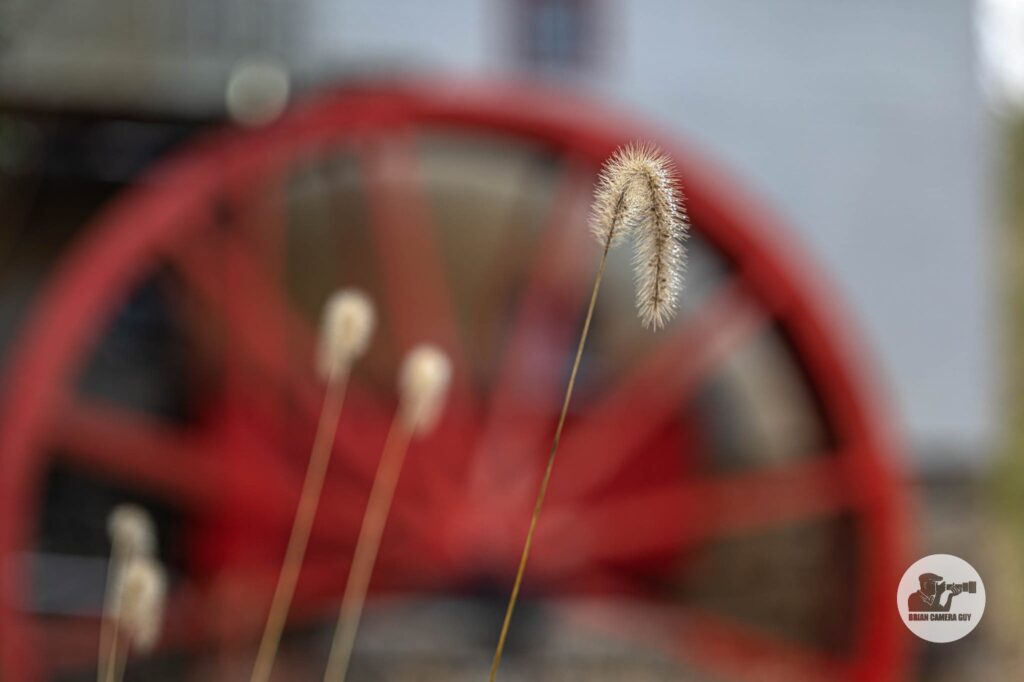 mill red wheel