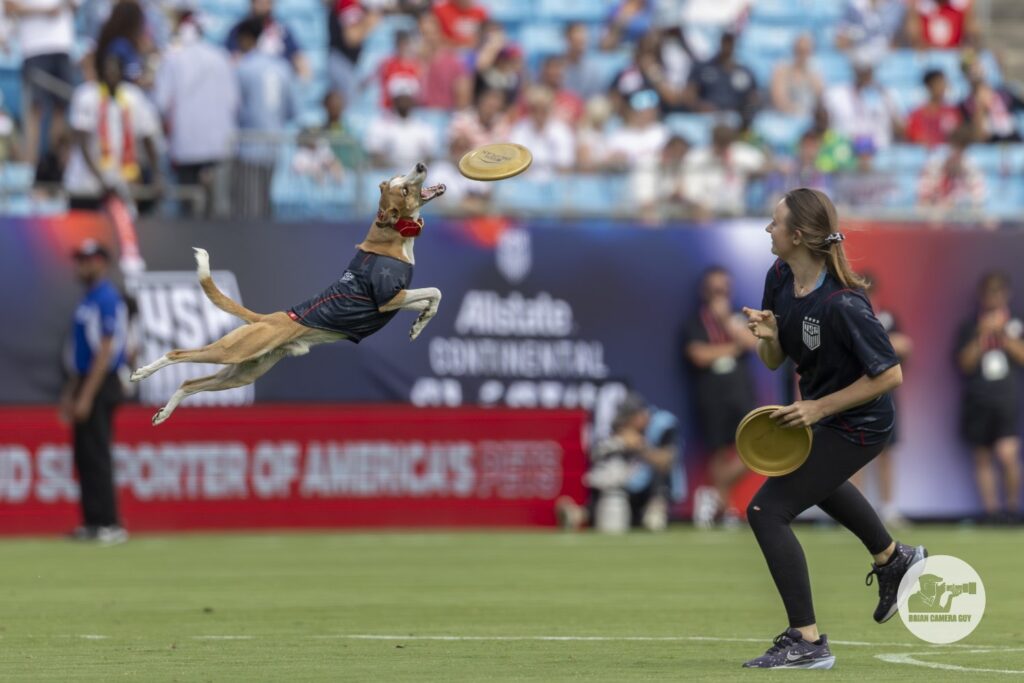 Halftime entertainment