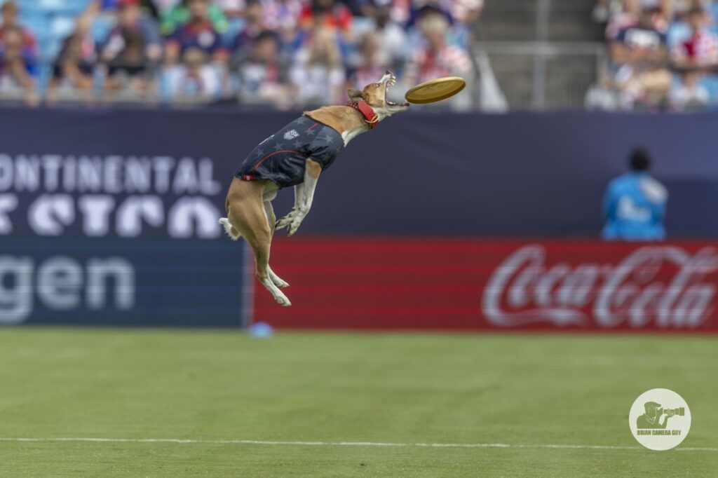 Halftime entertainment _2